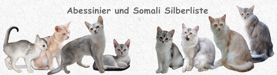 Banner Aby-Som-6. mit schrift