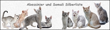 Banner Aby-Som-6. mit schrift - klein- Banner Aby-Som-6. mit schrift - klein-